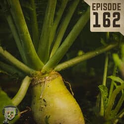 EP:162 | An Interview with a Plant Breeder