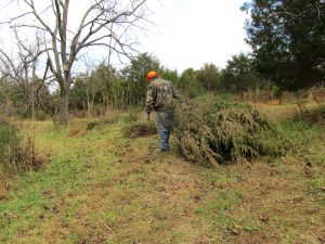 creating food plot cover