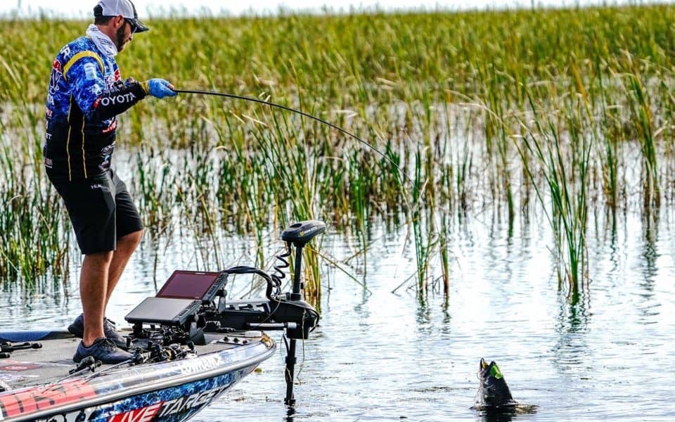 locating-and-catching-summer-bass