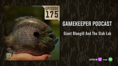 EP:175 | Giant Bluegill and the Slab Lab