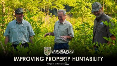 Improving Property Huntability