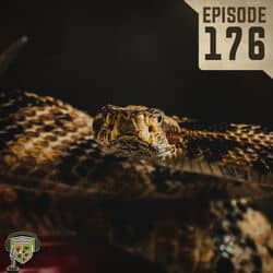 EP:176 | Snakes in the Studio: The Truth About Venomous Snakes