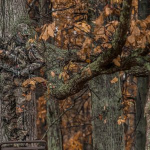 Preparing the Perfect Deer Hunting Site