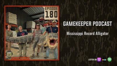 EP:180 | Mississippi Record Alligator