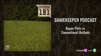 EP:181 | Regen Plots vs. Conventional Methods