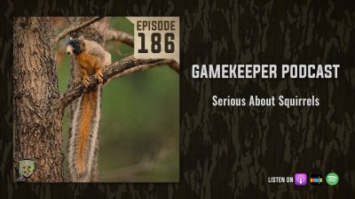 EP:186 | Serious About Squirrels