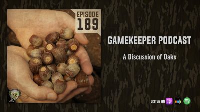 EP:189 | A Discussion of Oaks