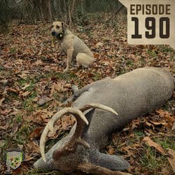 EP:190 | Blood Trailing Deer Dogs