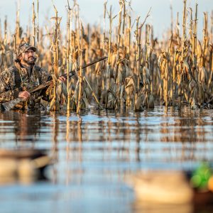 Managing Duck Impoundments