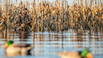 managing-duck-impoundments