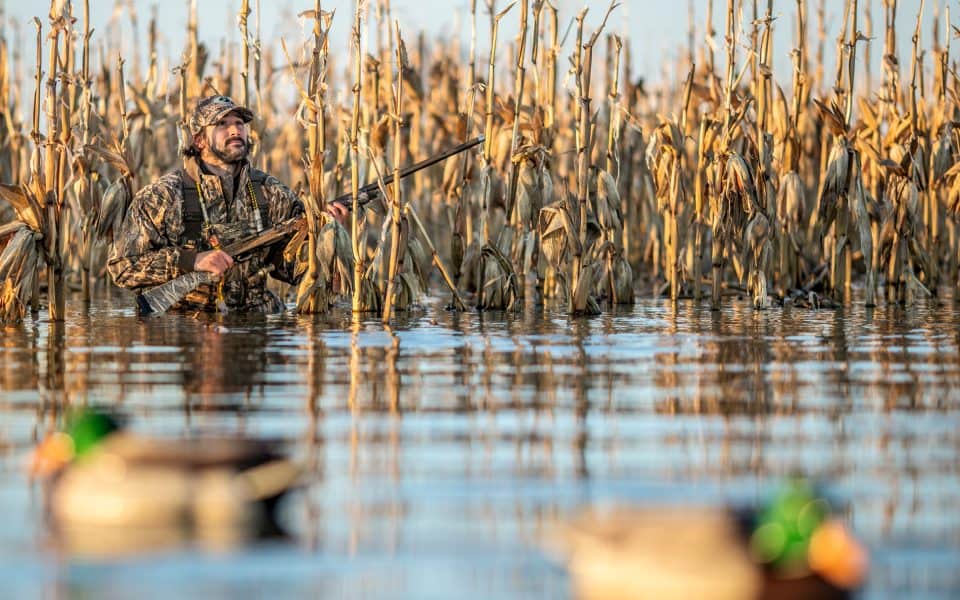 managing-duck-impoundments