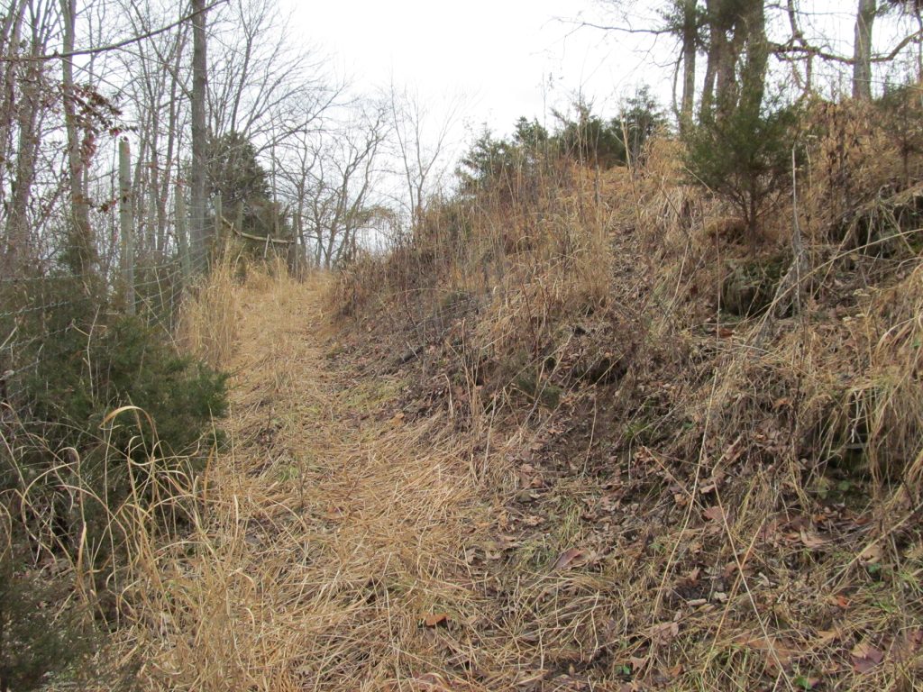 whitetail-funnel-with-fence