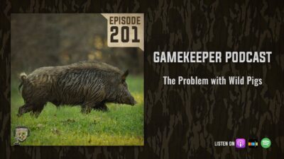 EP:201 | The Problem with Wild Pigs