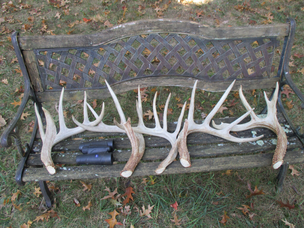 sheds-on-a-bench