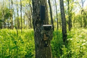 spartan-trail-camera