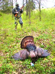 harvested turkey