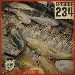 EP:234 | Bonus: Catchin’ Cats