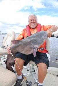 large blue catfish