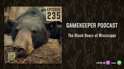 EP:235 | The Black Bears of Mississippi