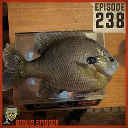 EP:238 | Why Not Bluegills?