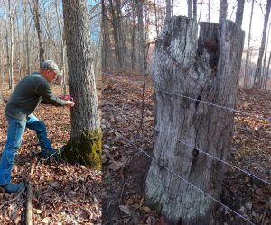 fixing fences