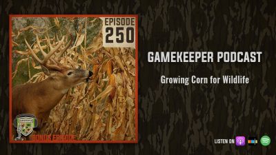 EP:250 | Growing Corn for Wildlife