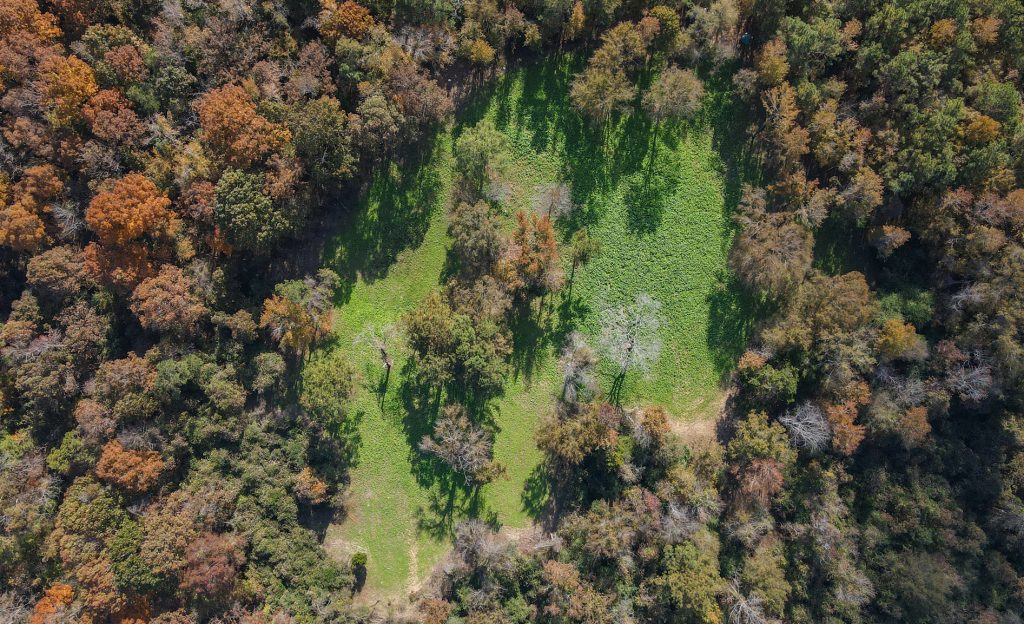 drone-flying-over-food-plot