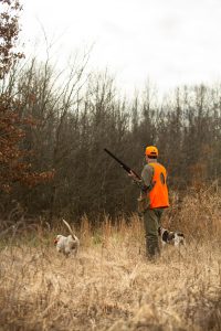 hunting-in-quail-habitat