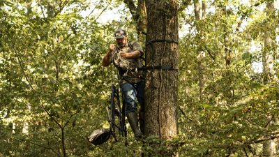 treestand-placement