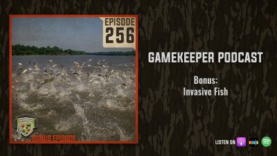 EP:256 | Bonus: Invasive Fish