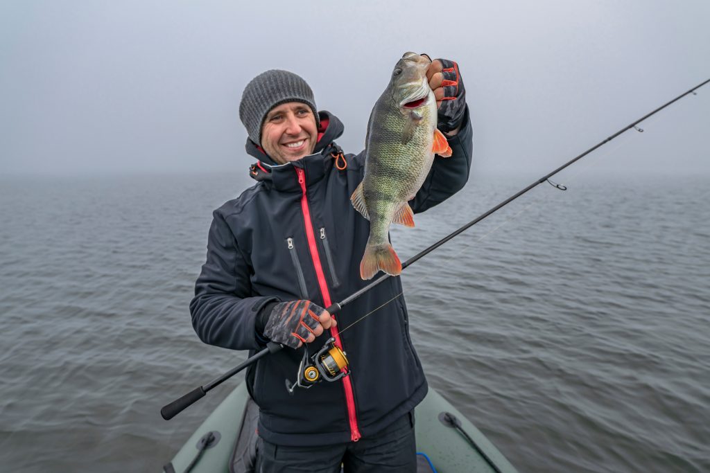 catching-yellow-perch