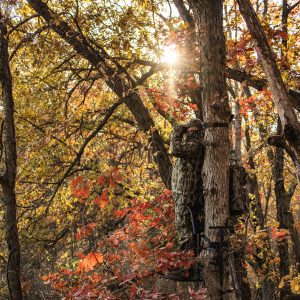 Opening Day Deer Hunting Hotspots