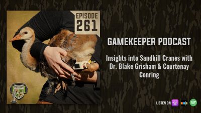 EP:261 | Insights into Sandhill Cranes with Dr. Blake Grisham & Courtenay Conring