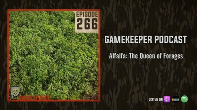 EP:266 | Bonus: Alfalfa: The Queen of Forages