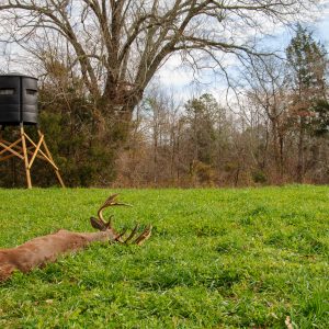 9 Great Deer Stand Locations