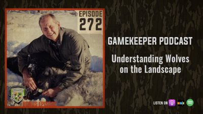 EP:272 | Bonus: Understanding Wolves on the Landscape