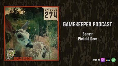 EP:274 | Bonus: Piebald Deer