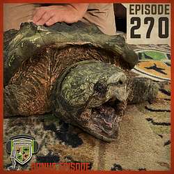 EP:270 | Bonus: Understanding the Alligator Snapping Turtle