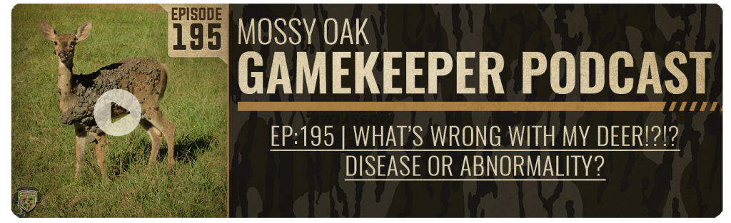 Gamekeeper Podcast episode 195