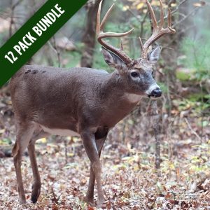 whitetail-oak-package