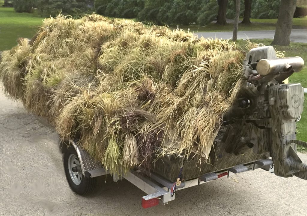 Grassed Boat Blind2