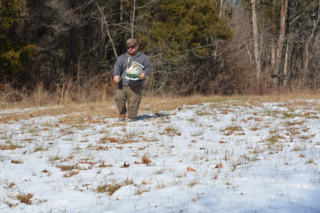 frost seeding a food plot