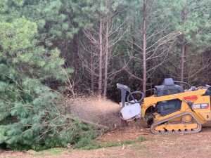 mulcher clearing ground 