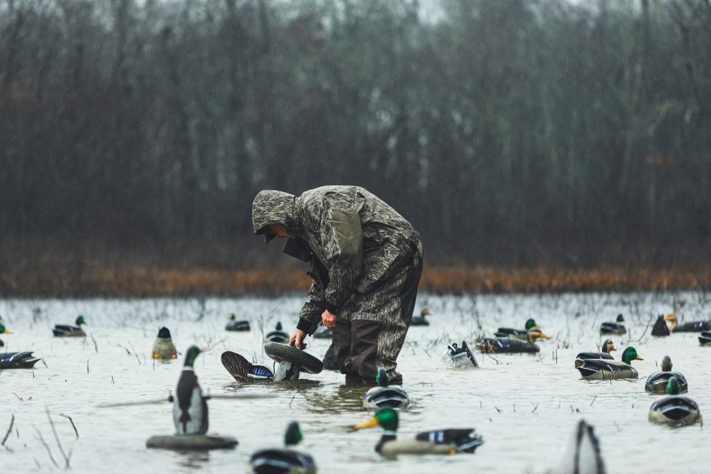 setting-up-decoys