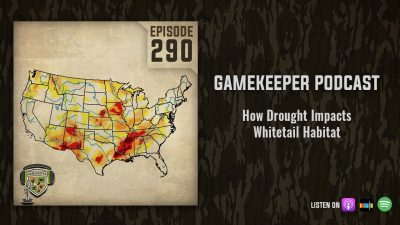 EP:290 | How Drought Impacts Whitetail Habitat