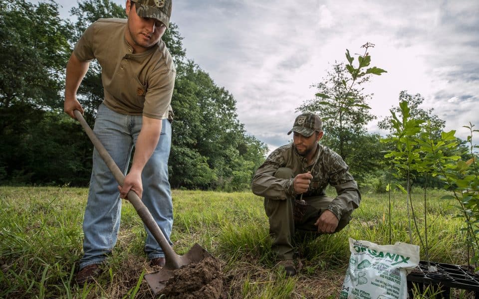 planting-trees-for-wildlife