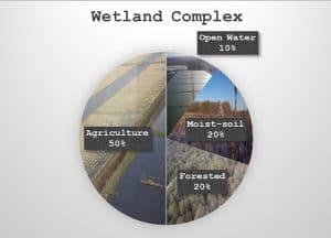 wetland complex