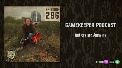 EP:296 | Antlers are Amazing