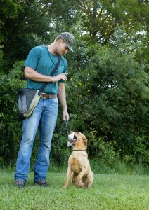 early-dog-training