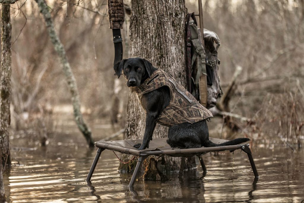 hunting-dog-platform-over-water